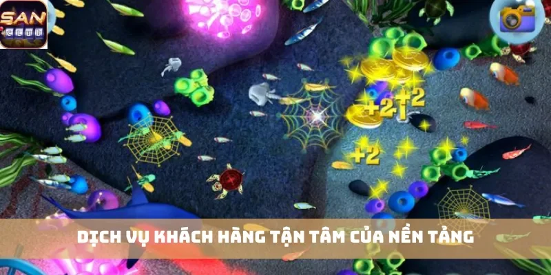 Dịch vụ khách hàng tận tâm của nền tảng