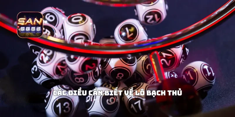 Các điều cần biết về lô bạch thủ
