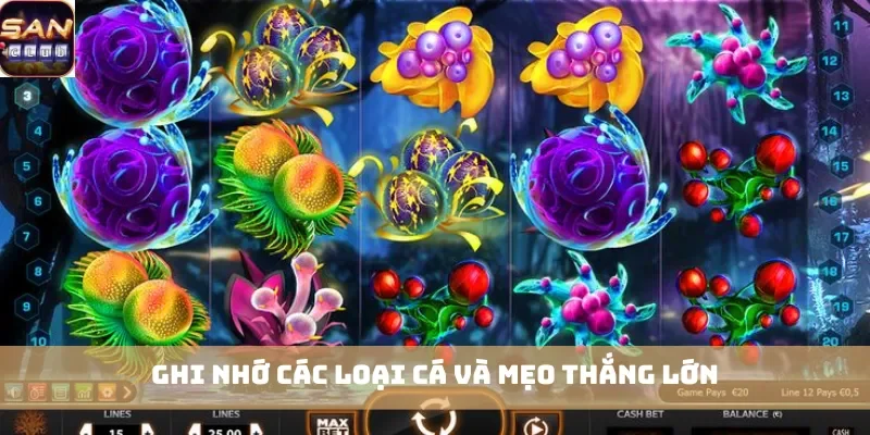 Ghi nhớ các loại cá và mẹo thắng lớn